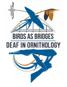 Perspectives on birding and ornithology from the deaf and hard of hearing. Birds as bridges logo graphic with ASL sign for "bridge."