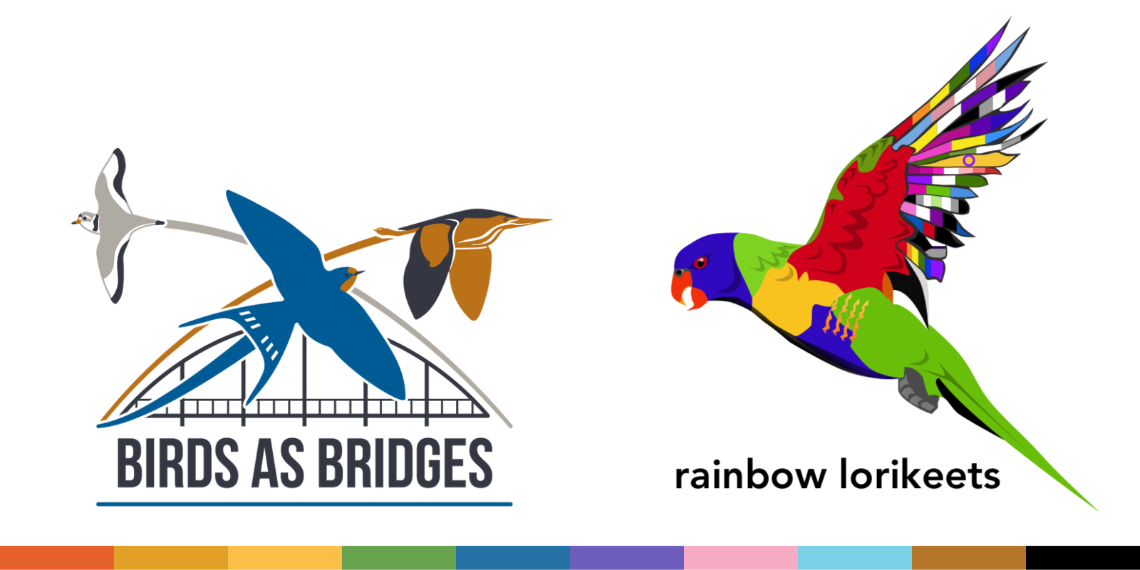 AOS & SCO 2023 logo with rainbow lorikeets logo and colors of pride flag across bottom