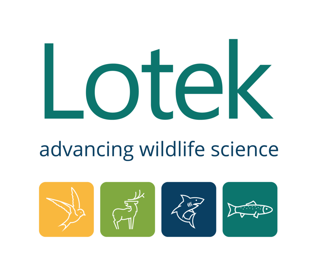 Lotek logo