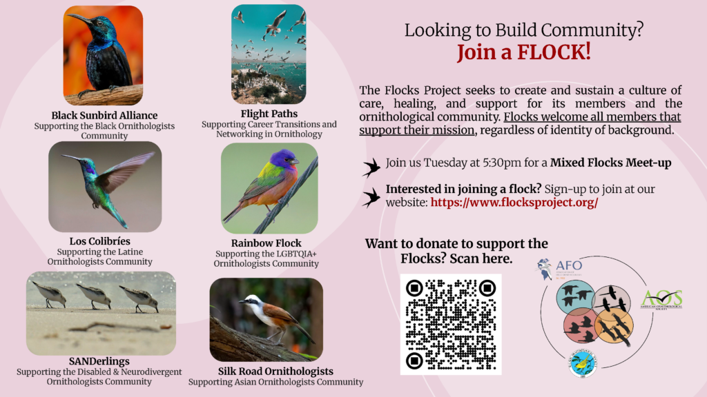 Flocks image with all the same information that is included on the web page.